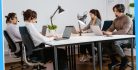 Business Jobs 86