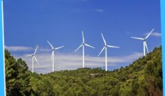Business Renewal Energy 95