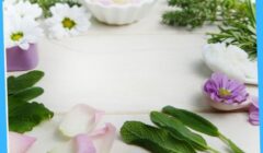 Lifestyle Mental Health 29