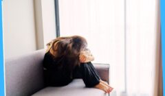 Mental Health 08