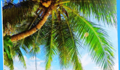 Palawan 03