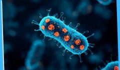 Tuberculosis